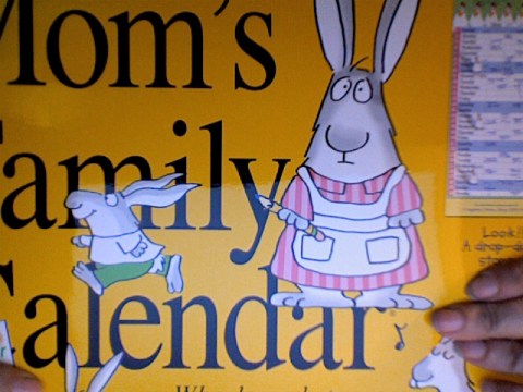 Mom's Family Calendar