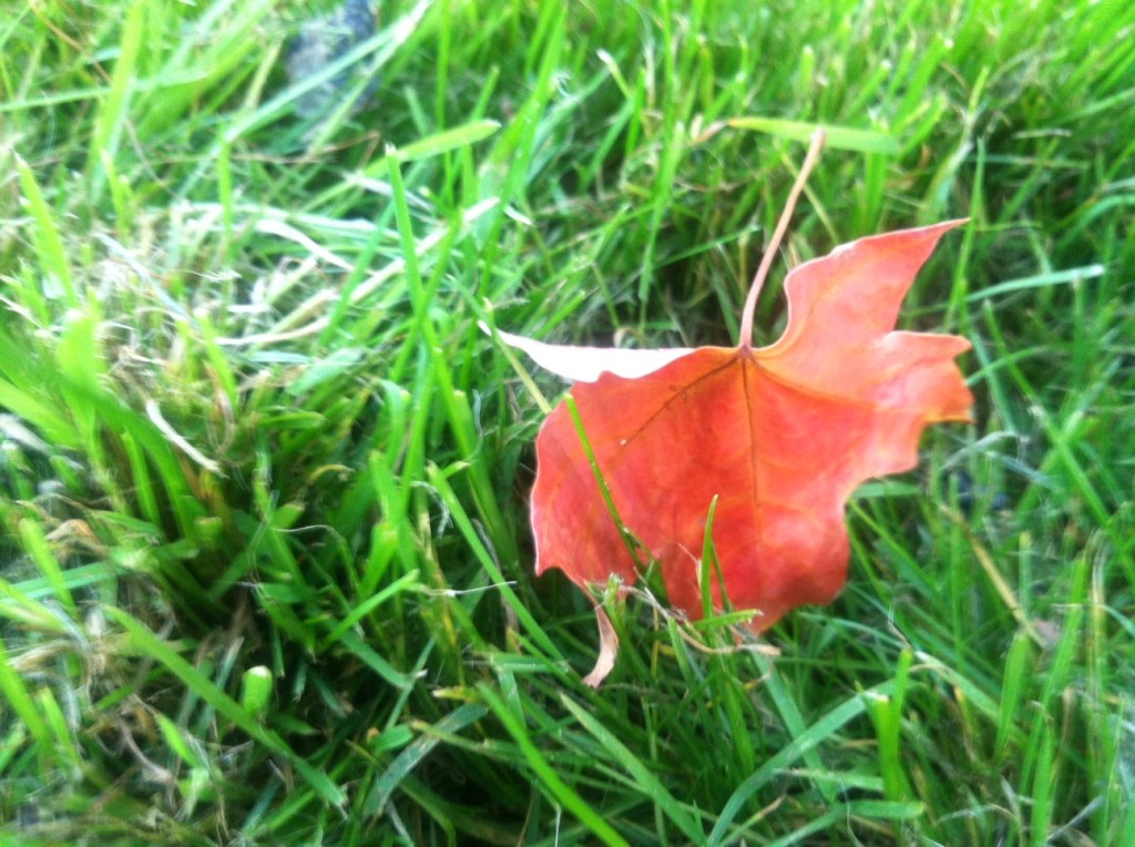 Red and gold and portents of&nbsp;gloom