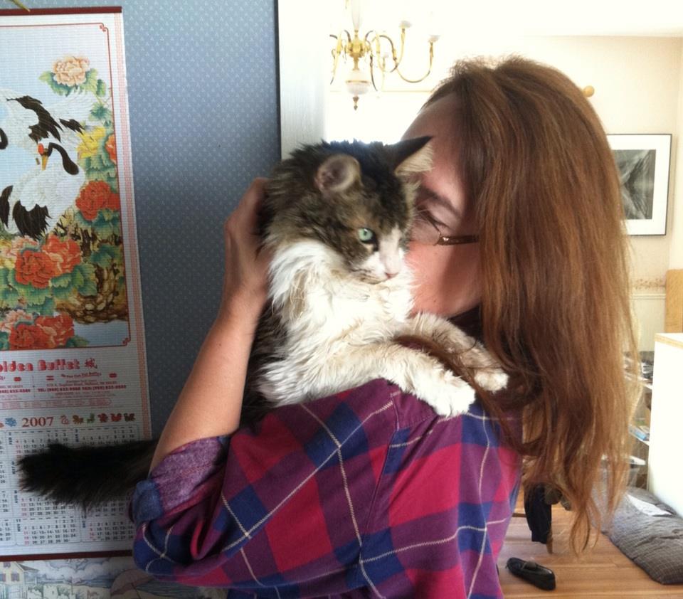 I lost my companion cat, but found more than I&nbsp;expected