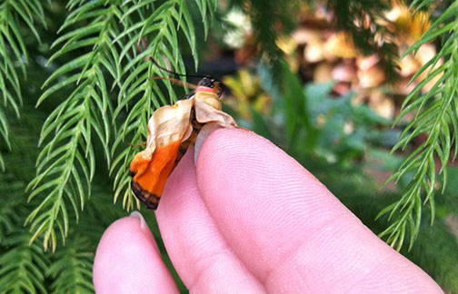 This one fared better.