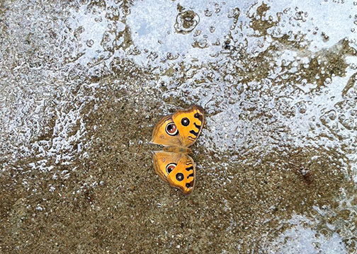 And then there's this.