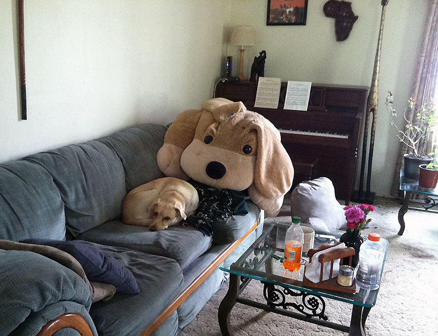 Blonde dog chilling on couch overlooked by giant stuffed dog