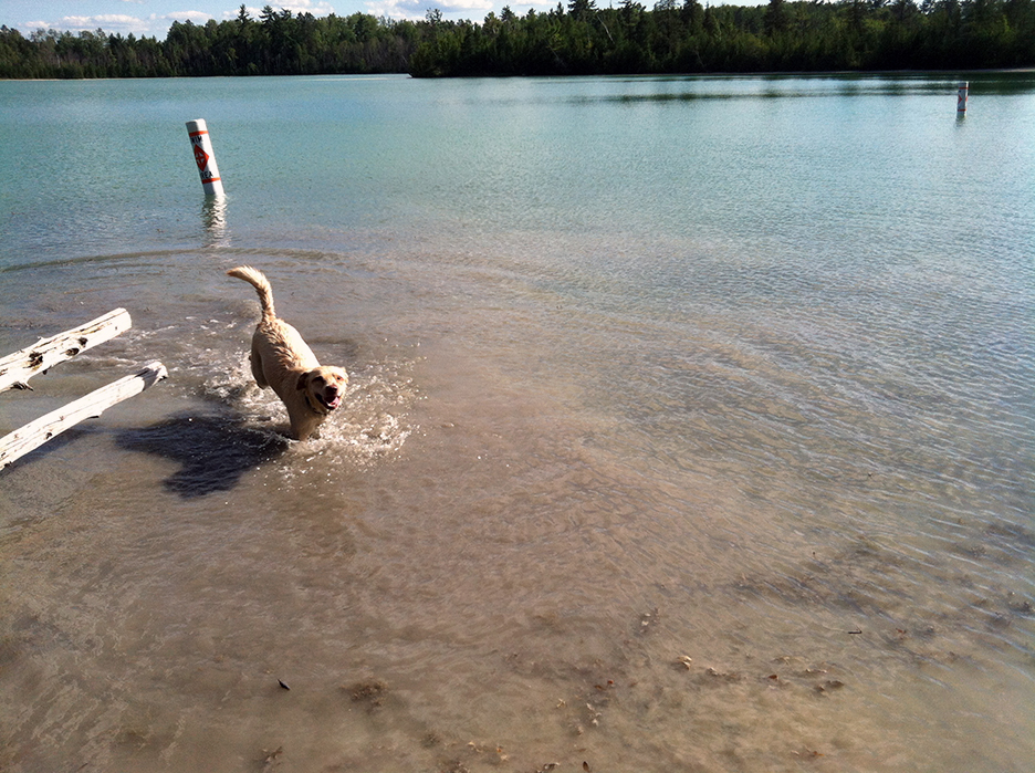 Abbey leaping in lake