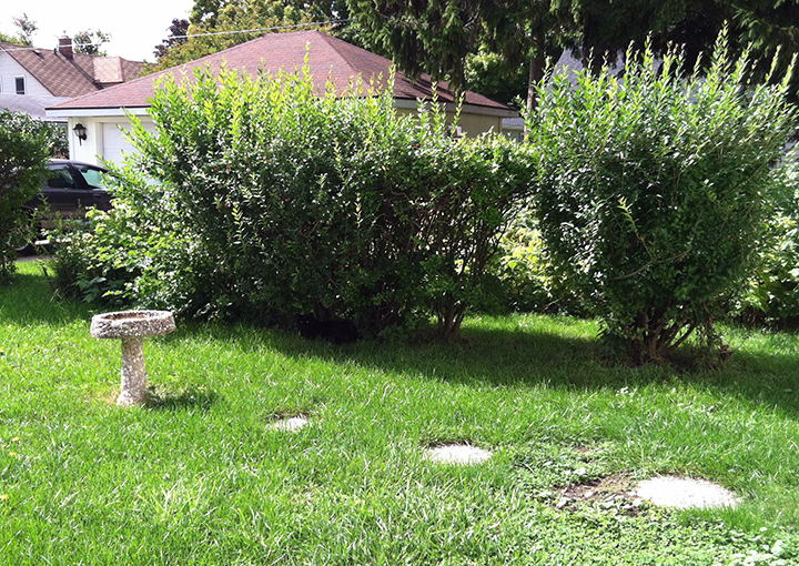 Daryl outside by birdbath
