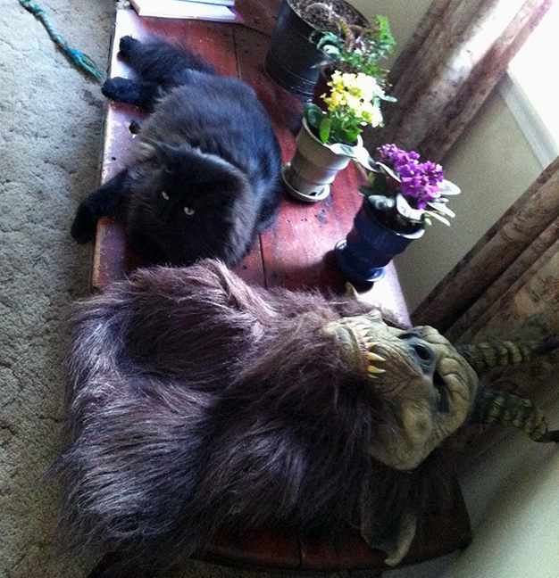 Daryl with indoor plants and Halloween mask