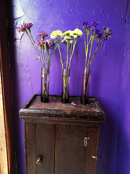 Three purple vases with flowers against a purple wall