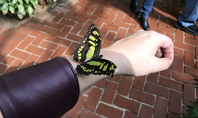 DG032417malachitewrist