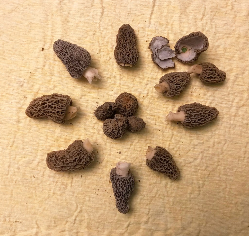 The morel of the&nbsp;story