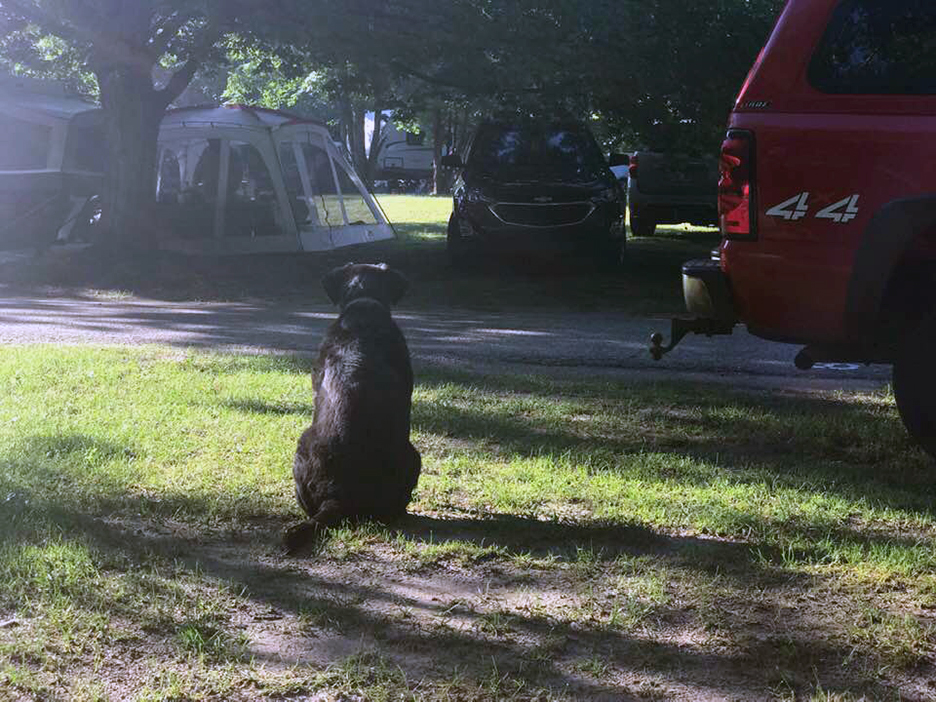 Pet Pic, 07282019&nbsp;edition