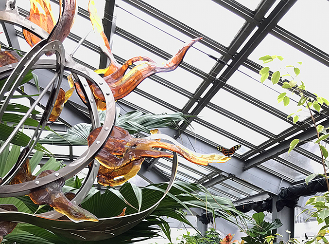 Butterfly resting on large glass sculpture