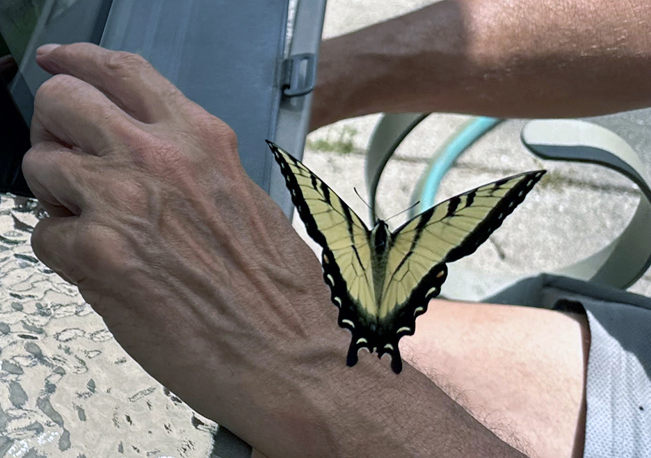 Pet Pic, 07272023&nbsp;edition