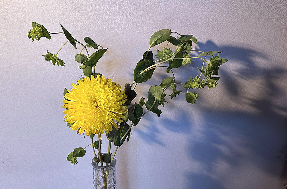 Bouquet, 09132023 edition