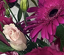 Bouquet, 10042023 edition