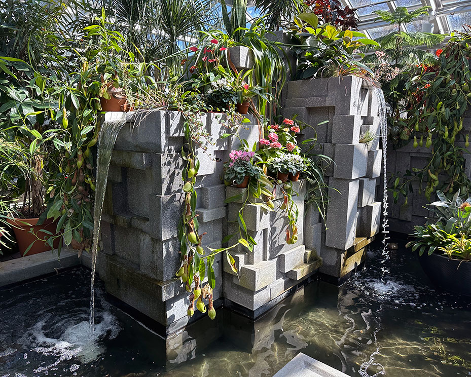 Plant Pic, 04062025&nbsp;edition