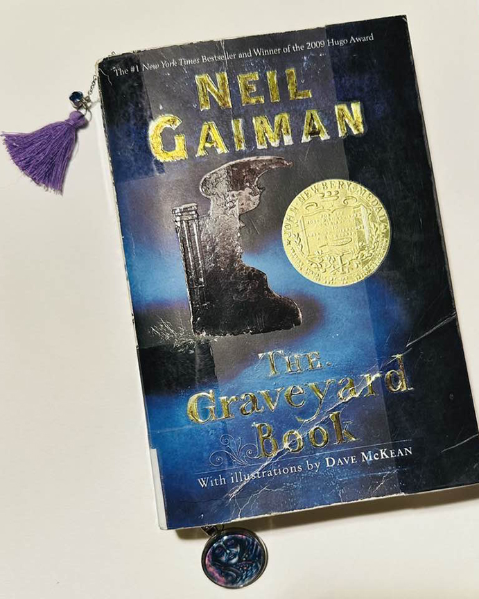 Book Diary, 05012025&nbsp;edition