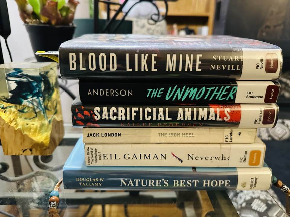 Book Diary, 06112025&nbsp;edition