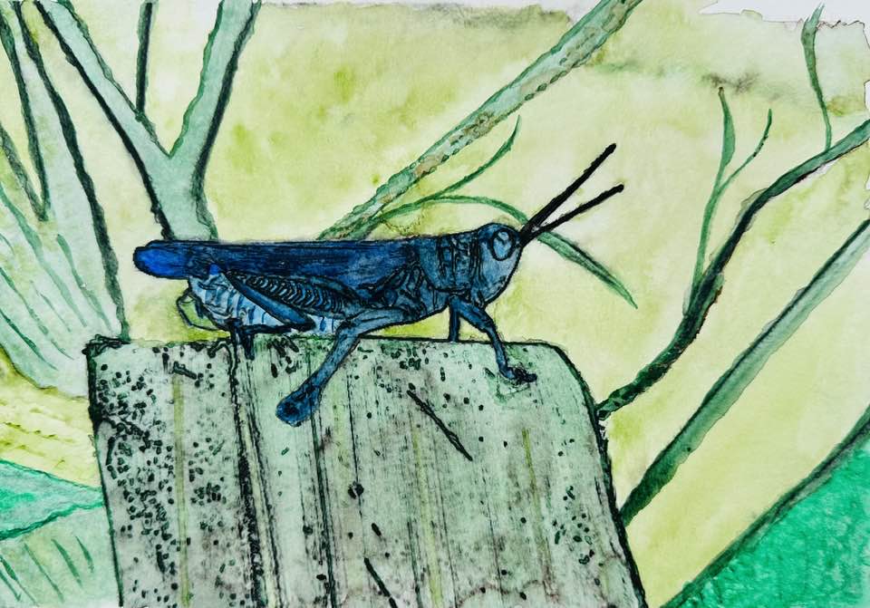 Painting Pic, 06212025&nbsp;edition