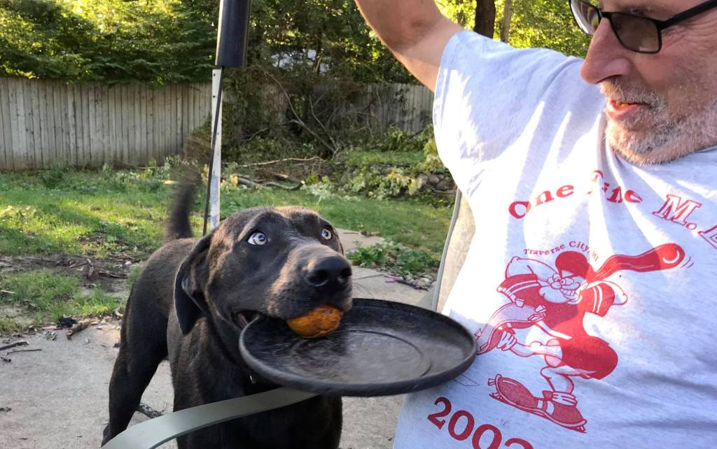 Pet Pic, 08302021&nbsp;edition