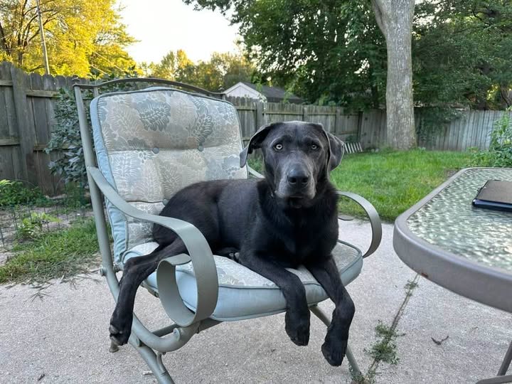 Pet Pic, 08312023&nbsp;edition