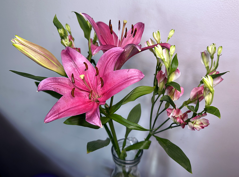 Bouquet, 09122025 edition