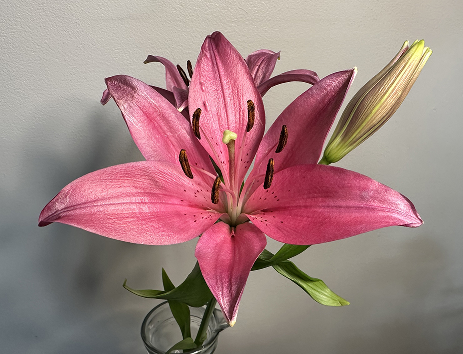 Bouquet, 09092025 edition