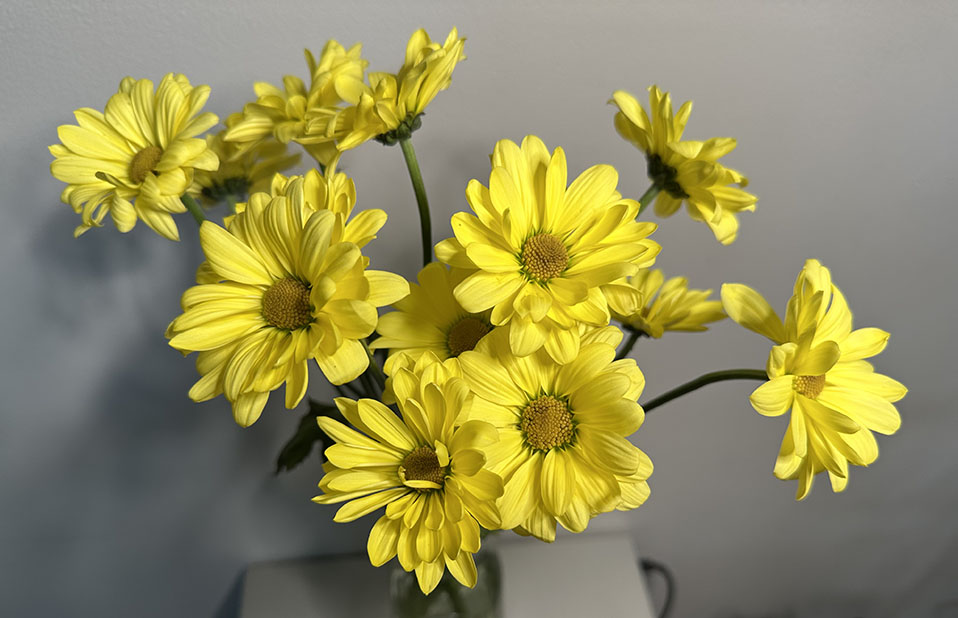 Bouquet, 09112025 edition