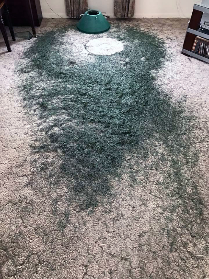 A Christmas tree was&nbsp;here