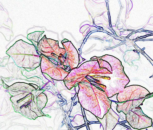 Plant Pic, 01202015&nbsp;edition