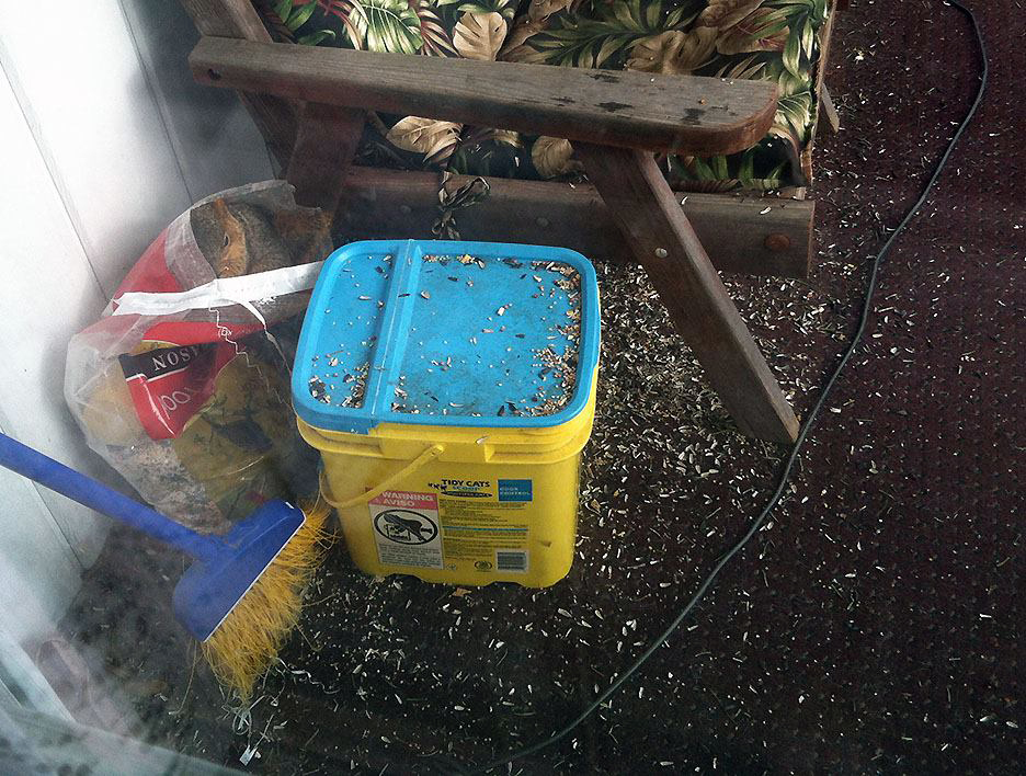 Pet Pic, 01232016&nbsp;edition