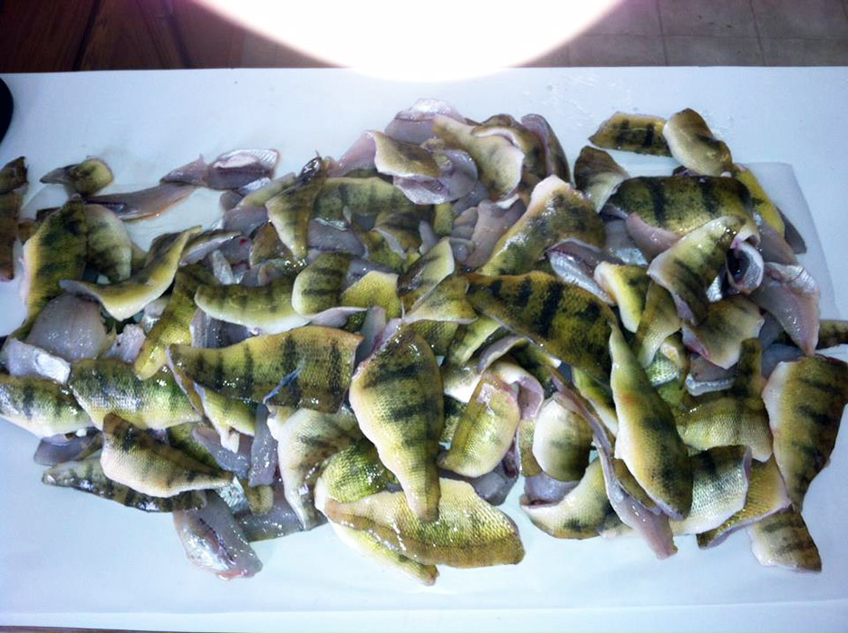 A fine mess of&nbsp;fish