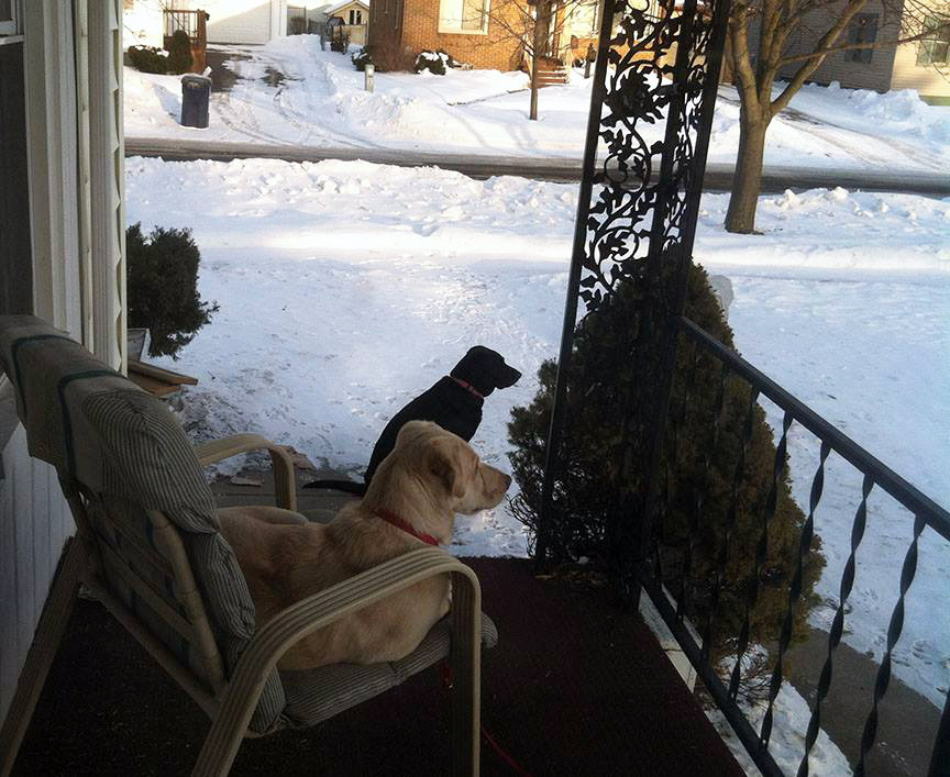 Pet Pic, 02252015&nbsp;edition