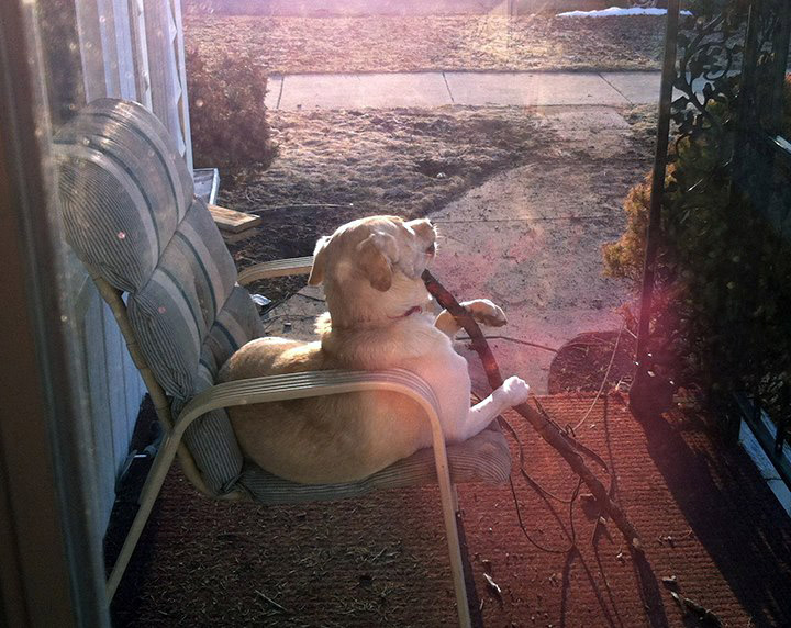 Pet Pic, 04012015&nbsp;edition