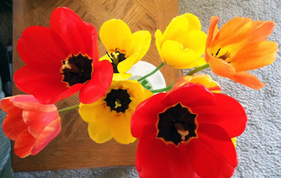 Neighborhood flowers