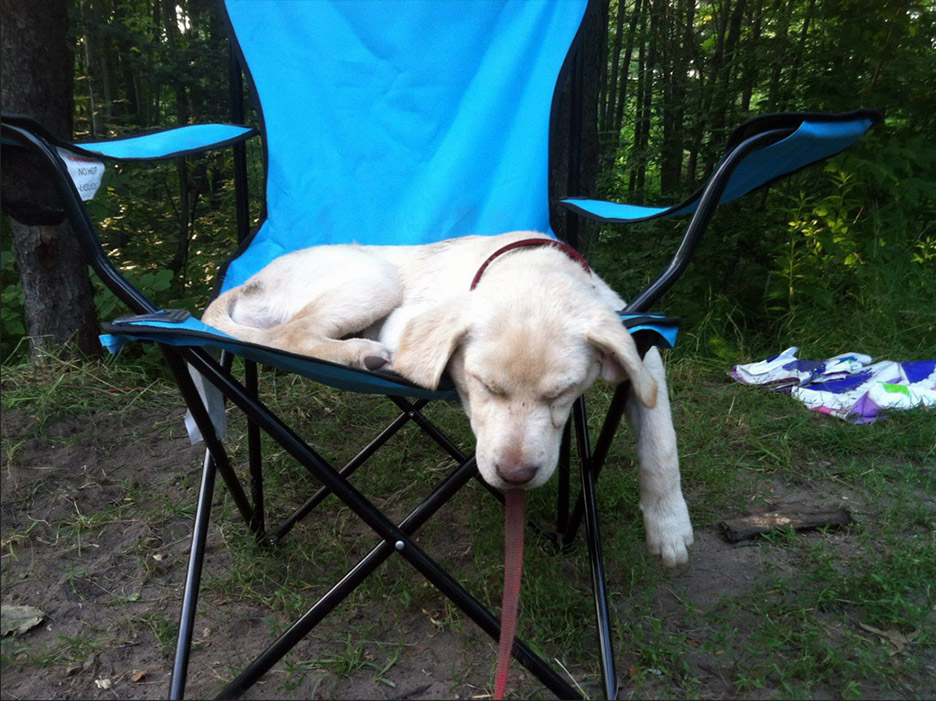 Pet Pics, 07212014&nbsp;edition