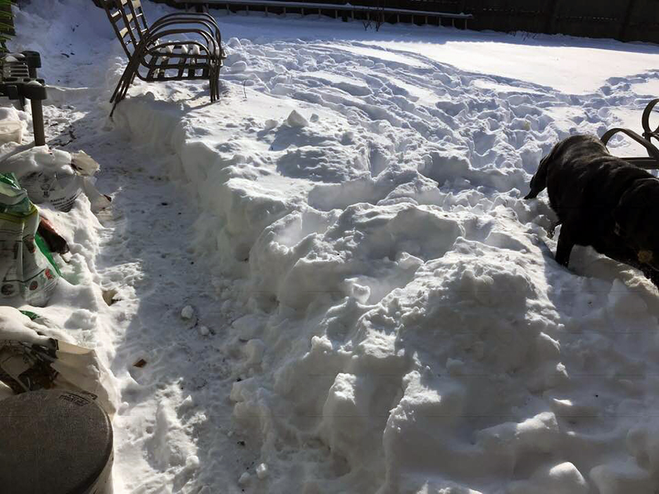 Pet Pic, 02012019&nbsp;edition