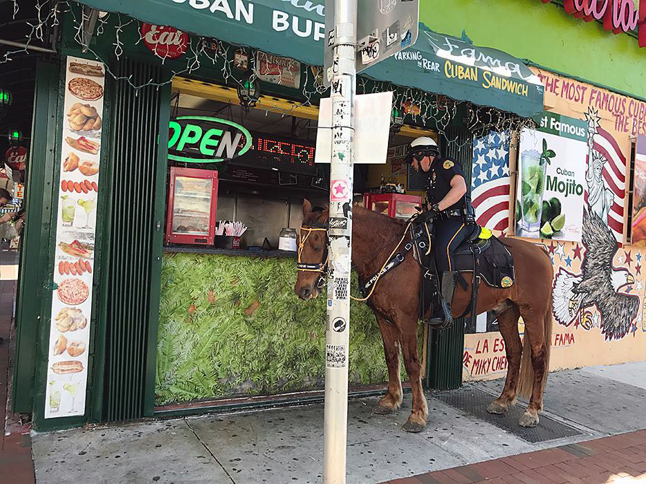 Scenes from Miami