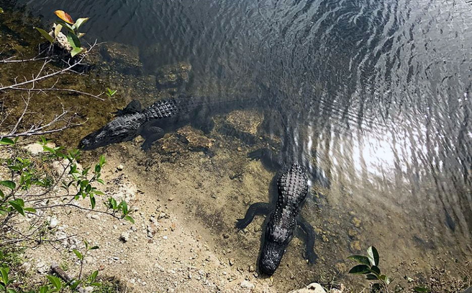 Florida, coast to&nbsp;coast