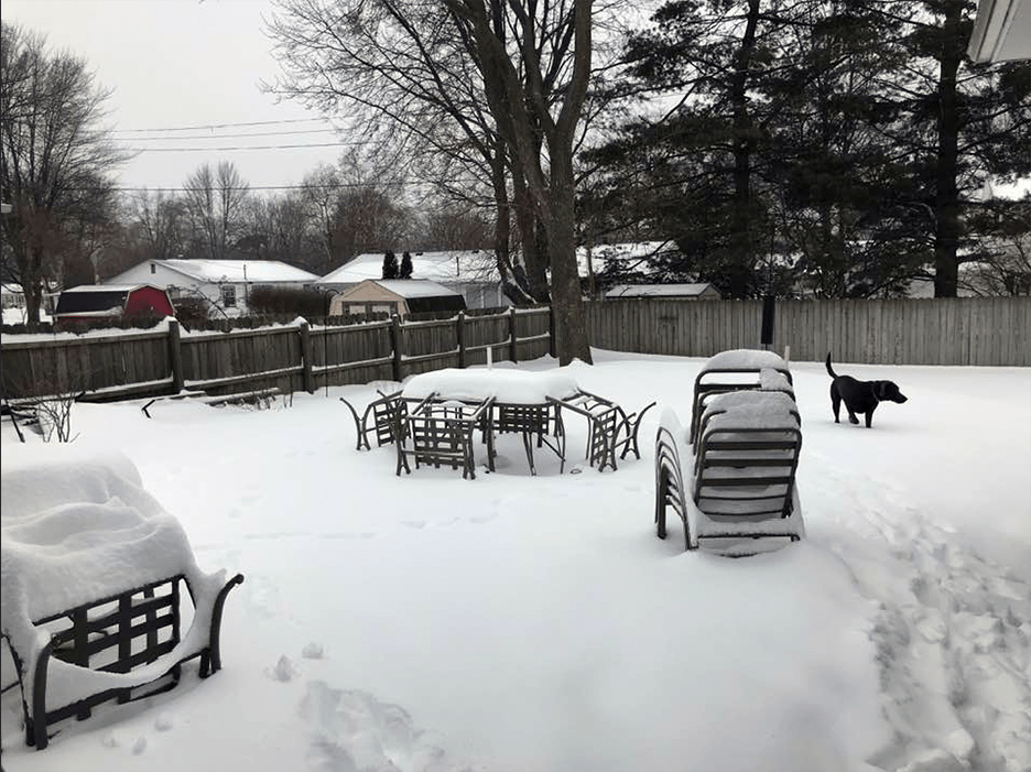 Pet Pic, 02232023&nbsp;edition