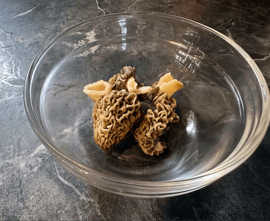 First morels