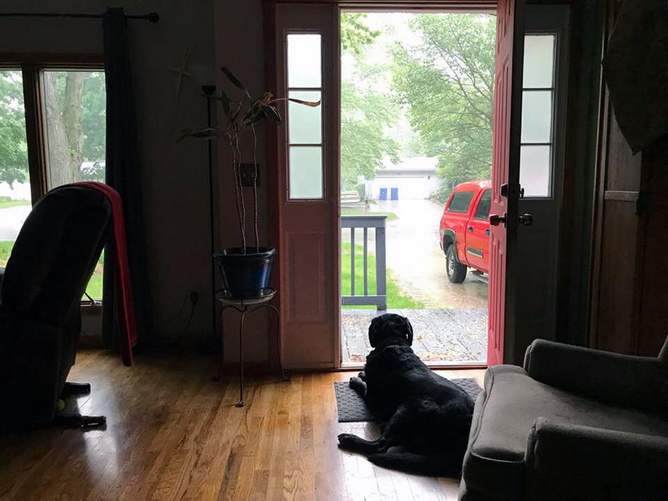 Pet Pic, 06052019&nbsp;edition