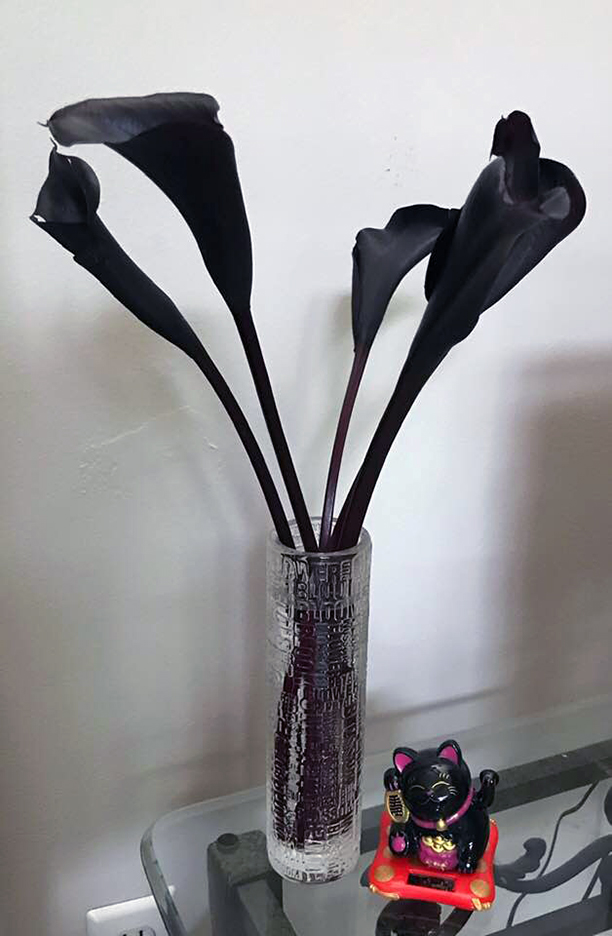 Bouquet, 06232019 edition