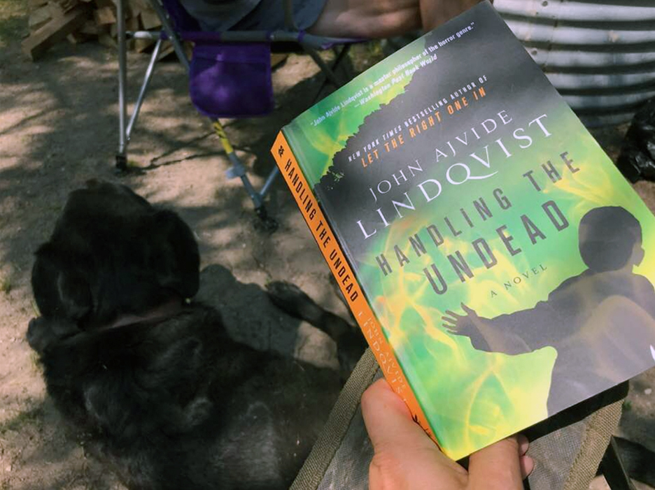 Book Diary, 07262019&nbsp;edition