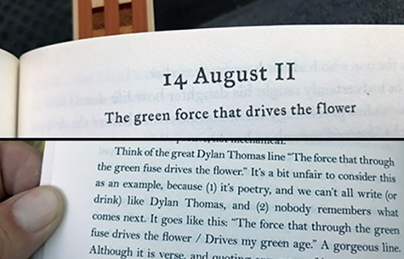 Book Diary: Coincidence&nbsp;edition