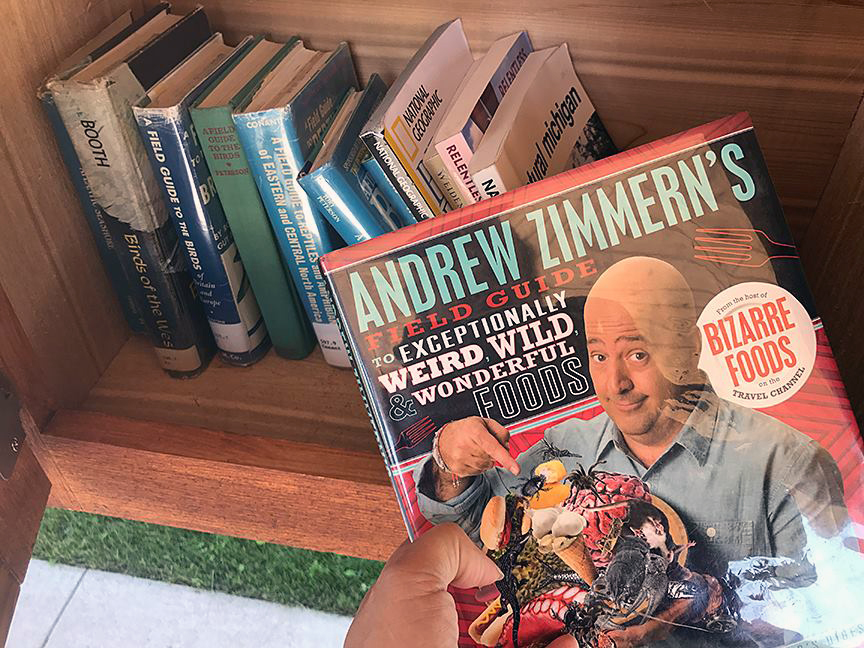 Discoveries at Discovery&nbsp;Preserve