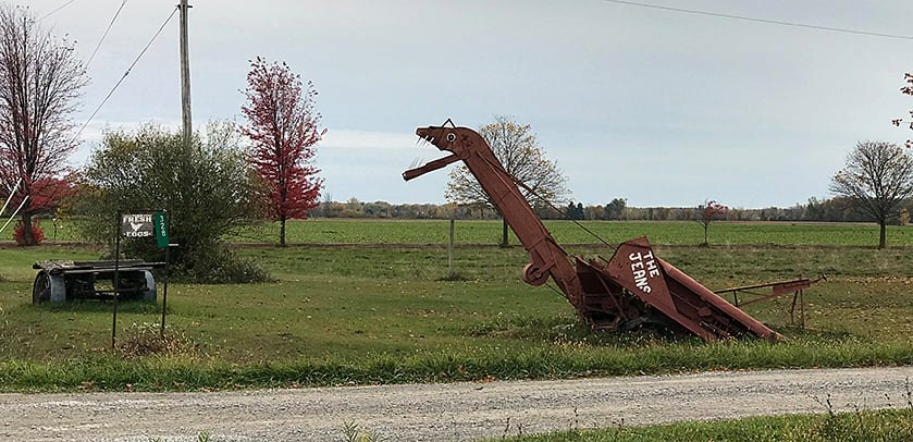 Roadside dinosaur