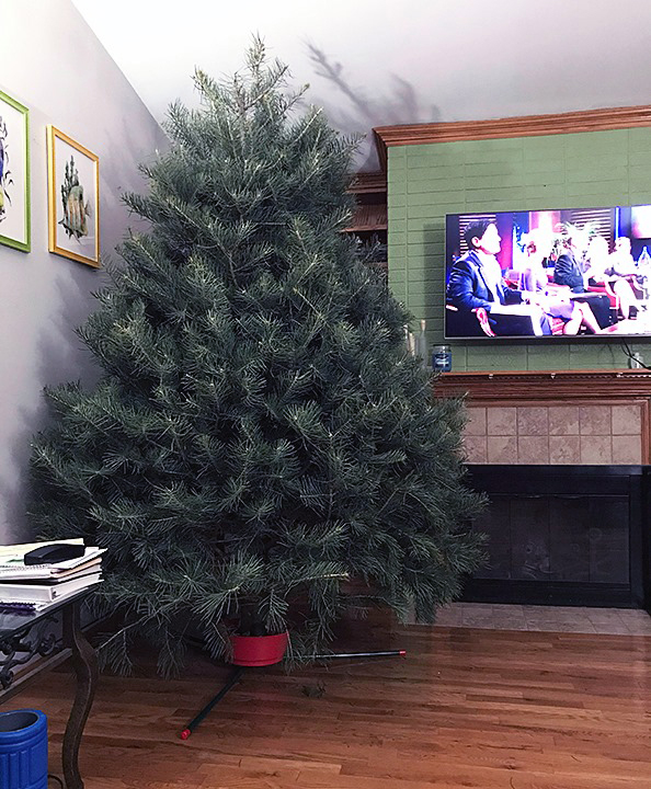 I swear, it was smaller on the&nbsp;lot